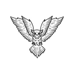 Obraz premium owl with open wings outline