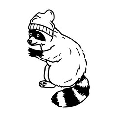 raccoon with beanie hat vector