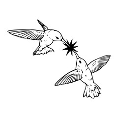 delicate hummingbirds simple vector
