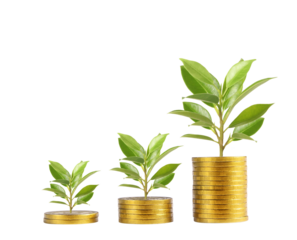 Investment growth journey financial success through planting ideas business realm infographic rich environment close-up perspective