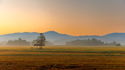Obraz premium Peaceful rural landscape at sunrise with misty mountains, rice fields, and a small hut under golden morning sky