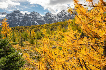 Beautiful fall time scenic views at Sentinal Pass, Larch Valley during September with light snow...