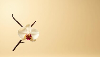 Flying vanilla sticks and orchid flowers floating gracefully on a beige background, creating a serene and elegant composition,  elegant, vanilla