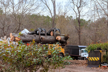 Construction vehicles are working to clear large tree logs from near residential location during work day