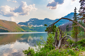 Cameron Lake in mid summertime taken in Waterton Lakes National Park with stunning mountain peaks, wilderness & nature view desktop backgrund. 