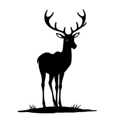 Obraz premium Majestic stag silhouette standing on grass against