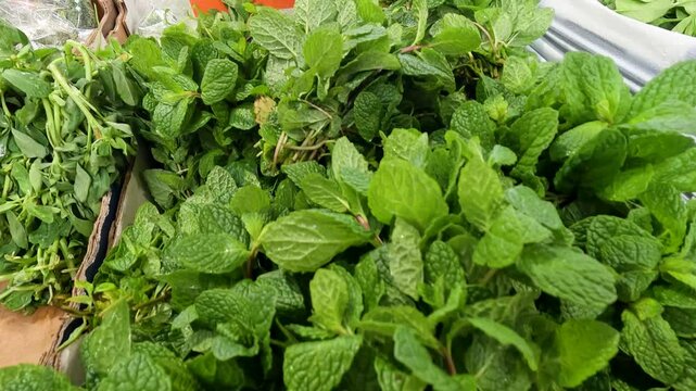 Fresh Mint Leaves Displayed at a Market Stall