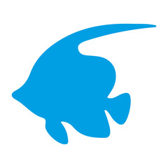 Obraz premium angel fish isolated on blackground white