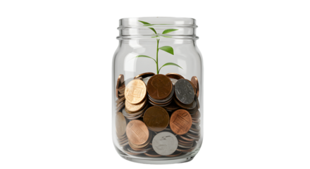 Jar of money plant economy green on transparent background png