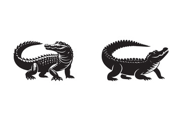 Crocodile silhouette with white background