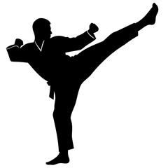 Dynamic Karate Kick Silhouette Vector High-Quality Transparent background with PNG