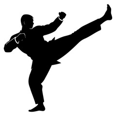 Dynamic Karate Kick Silhouette Vector High-Quality Transparent background with PNG