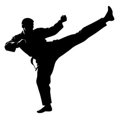 Karate Fighter Kick Vector Silhouette Isolated on Transparent Background