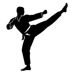 A karate fighter doing a kick vector silhouette Isolated on a transparent background