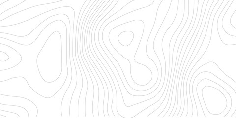 Topography background. Vector banner. Topography map background. Vector geographic contour map. Background of the topographic map. Topographic map lines, contour background. 