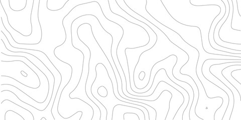 Topographic contour map. similarcartography illustration. Topography and geography map grid abstract backdrop. Business concept. Fish Fillet Texture, Salmon fillet texture, fish pattern. paper texture