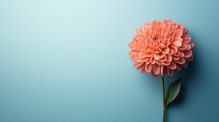 A beautiful flower set against a vibrant blue background symbolizing nature's beauty and geo-optimized content targeting