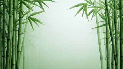 Lush green bamboo stalks stand tall in a misty forest creating a serene and tranquil atmosphere perfect for meditation or relaxation background imagery.
