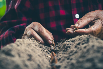Close-up planting seeds on nature soil.
