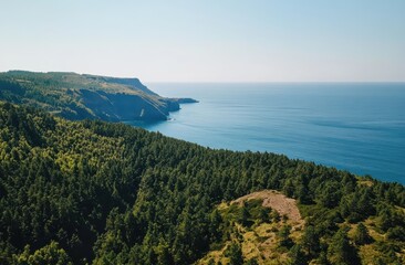Obraz premium Breathtaking coastal view pacific northwest aerial photography nature serene environment vibrant landscape