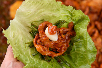 Seasoned duck meat with vegetables and garlic on lettuce