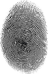 Human fingerprints set. Biomimetic fingermark. Authentication logo ideas. Biometric human fingerprint clipart