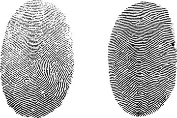 Fingerprint icon. Black fingerprint. Concept of fingerprint recognition. Vector illustration