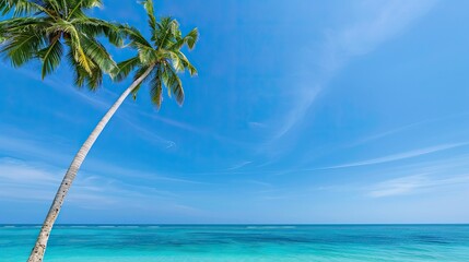 Palm Trees Gracefully Overlooking the Turquoise Ocean and Clear Blue Sky