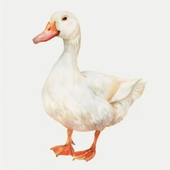 Obraz premium Charming watercolor duck illustration