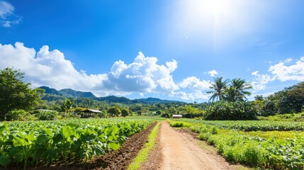 A lush organic farm with rows of crops under a clear blue sky, advertising style, copy space. Product photography with high resolution, advertising style