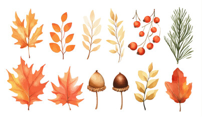 Vector Watercolor Fall Leaves Set with Acorns, Maple, Berries, Spruce for Seasonal Designs