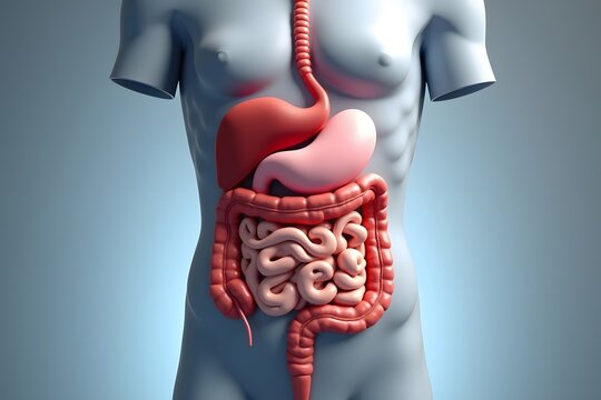 Human Digestive System with Blue Light Effect