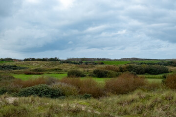 Eierland, De Cocksdorp, Texel, The Netherlands, Oktober 28th, 2024, A serene and tranquil scene that beautifully showcases vibrant greenery beneath a moody and dramatic sky