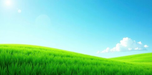 Fototapeta premium Lush green grass under a clear blue sky, a peaceful representation of nature's beauty, outdoors, clear sky