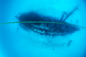 Obraz premium Sunken Severance wreck, Lady Elliot Island.