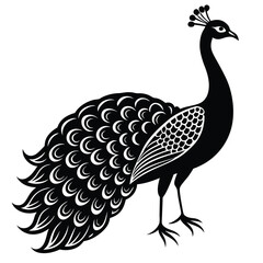 Fototapeta premium Adobe IllustrPeacock Vector Shilhouette Bundle Set Collectionator Artwork