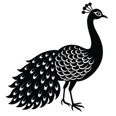 Fototapeta premium Adobe IllustrPeacock Vector Shilhouette Bundle Set Collectionator Artwork