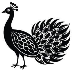 Fototapeta premium Adobe IllustrPeacock Vector Shilhouette Bundle Set Collectionator Artwork