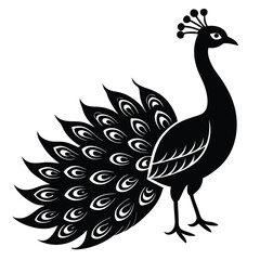 Adobe IllustrPeacock Vector Shilhouette Bundle Set Collectionator Artwork