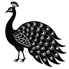 Fototapeta premium Adobe IllustrPeacock Vector Shilhouette Bundle Set Collectionator Artwork