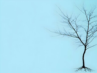A solitary, leafless tree stands against a pale blue sky.  Its exposed roots and stark branches create a minimalist, wintery scene. The image evokes feelings of solitude and resilience