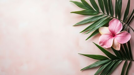Obraz premium Pink Plumeria Flower and Palm Leaves on a Soft Pink Background