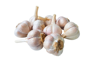Group of garlic isolated on white