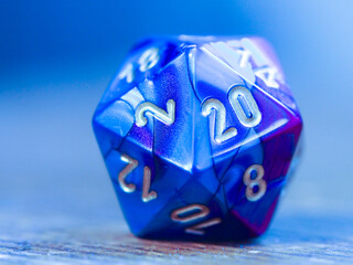 A 20 sided die