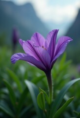 A green and yellow abstract background with wavy lines