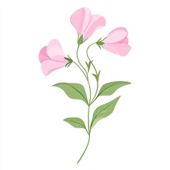 Fototapeta premium A sweet pea wildflower clip art flowers illustration graphics.