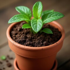 Freshly poured soil in a clay pot, ideal for gardening and plant growth, captured in natural brown hues.
