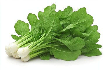 Fresh bunch of turnip greens: vibrant green leaves and crisp white roots for healthy meals