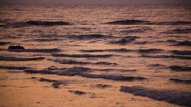 奄美大島、春の夕景の海。