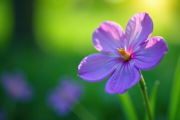 Stunning purple flower in sharp focus against serene blurred green background,  fresh,  vibrant
